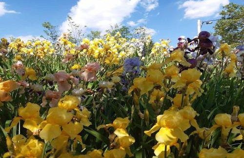 Holiday Home Martin - Foto 28