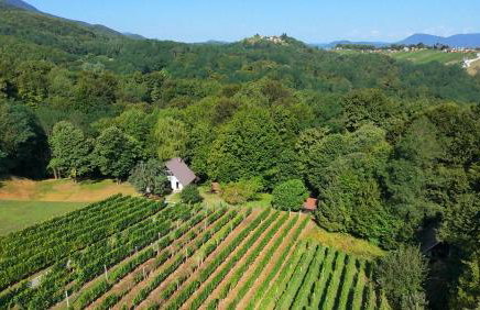 The Cozy Chalet - Foto 53