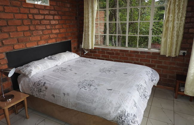 Madrugada Magic - Foto 6