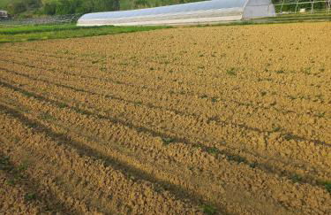 Agriturismo Il Mio Casale - Foto 17