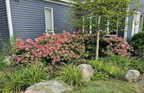 Frozen Jamaica - Foto 4