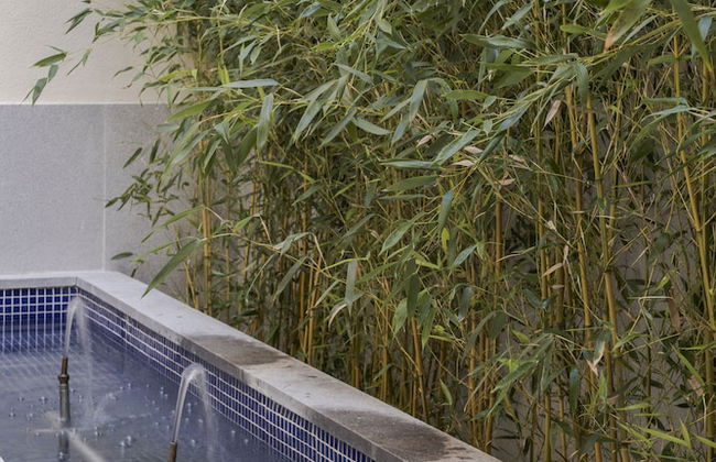 Palacio Tirso De Molina - Foto 54