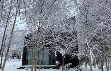 Drewniany dom w brzozowisku - Foto 3