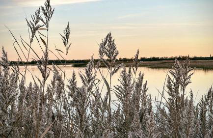 Ferienhaus Boddenblick Klausdorf Am Nationalpark - Foto 26