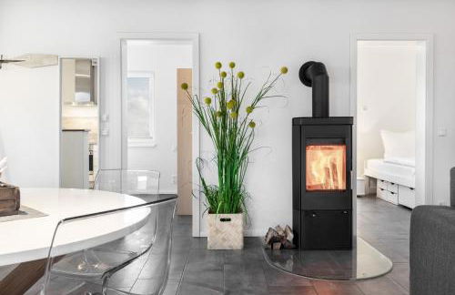 Salzhaff StrandHäuser mit Kamin und Terrasse OFC 17 - Foto 29