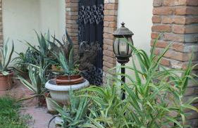 VillaLuigia - Oasi le Palme - Photo 68