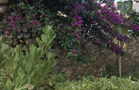 BIO Garden New House - Foto 40