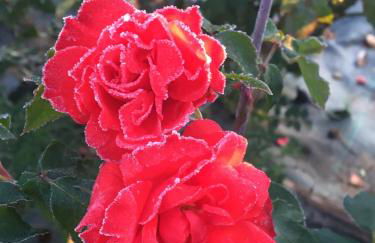 Agriturismo da Mamma - Foto 44