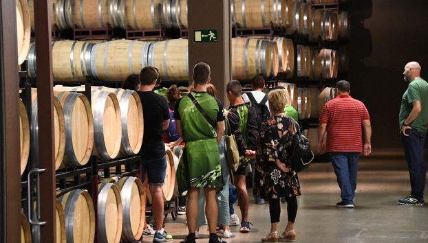 Bodegas Lozano - Foto 3