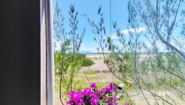 Dunas da Imara - Foto 4, Garden view