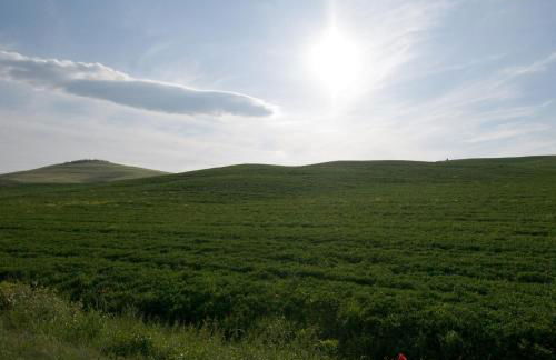 Agriturismo Selvella - Foto 41