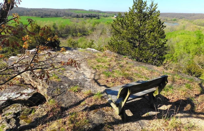 Rock Eddy Bluff Farm - Photo 40