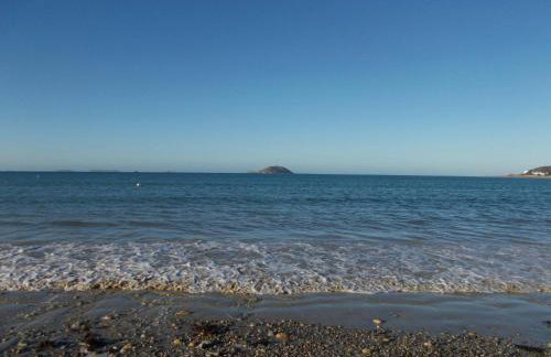 Les hortensias - Foto 29