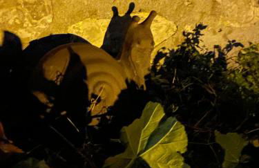 Magnifique vue sur la mer ... - Foto 72