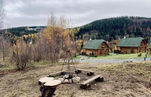 Domki w górach '' Zielone Wzgórza '' okolice Karpacza - Foto 13