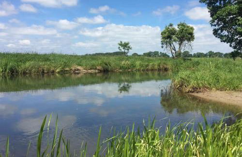 Landidyll - Bauernhaus Ländchen Bellin - Photo 54