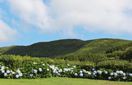 Casas da Boa Vista - Foto 22
