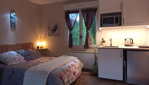 Studio & Gîte Zen de Beauval- 800 m du Zooparc - Photo 5