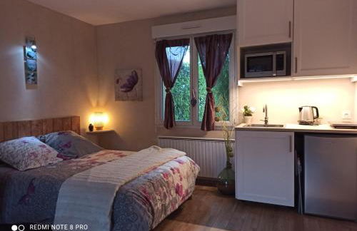 Studio & Gîte Zen de Beauval- 800 m du Zooparc - Photo 5