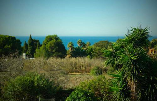 Cama da Vaca - Foto 24