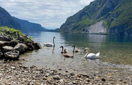 Grand View Como Lake Apartment - Foto 27