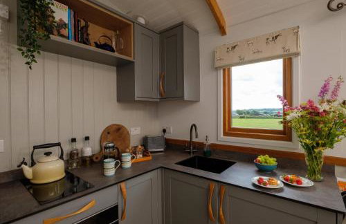 The Acorn - Luxury Shepherds Hut hot tub panoramic views - Foto 40