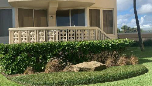 Golden Arms 101 - Foto 2