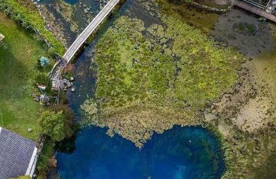 Villa Nikšić - Foto 38