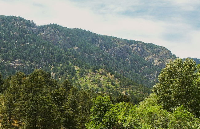 7 Bedroom on the Side of Pikes Peak on a Mountain Stream - Foto 46