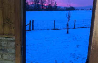 Shepherd Hut Lodge on Farm Waterside Goodwin Farm - Photo 14