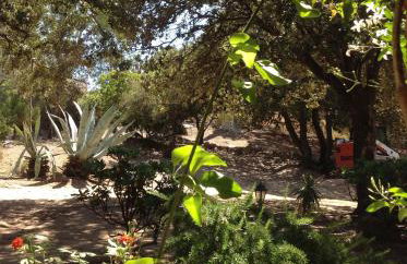 Villa A Scopa à Lumio en Corse avec piscine chauffée, vue mer panoramique, climatisation, jardin arboré de 3000m2, 10 pers, 5 Chb, 4 Sdb - Foto 58
