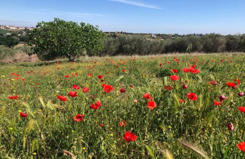 Casale Kintsugi - Foto 41