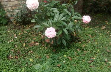 OLYMPUS HILL - Foto 26