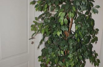 *Villa Pap-Live the Greek hospitality in a village* - Foto 41