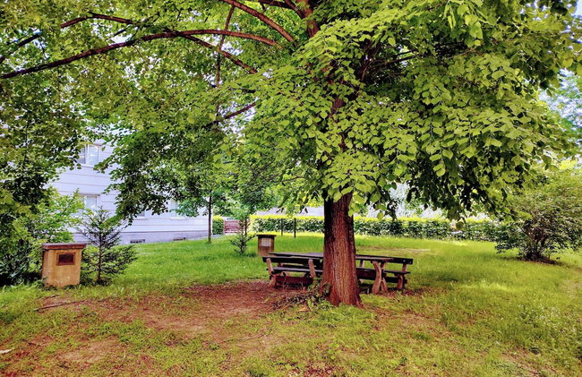 University Hotel - Foto 73