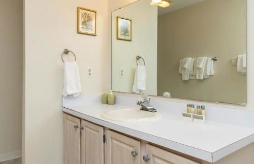 Nancy's Edelweiss with Wintergreen Advantage - Foto 33