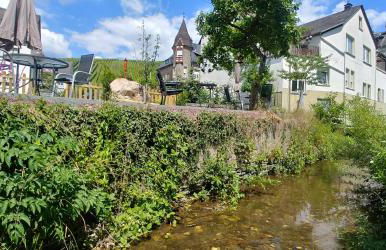 Ferienhaus Moselglück - Foto 38