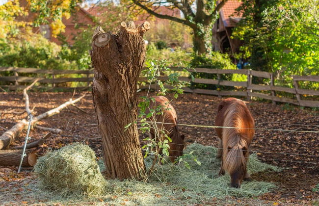 Historic Half Timbered Farm in Hohnebostel near Water Sports - Foto 24