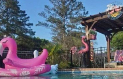 My Paradise - Foto 44