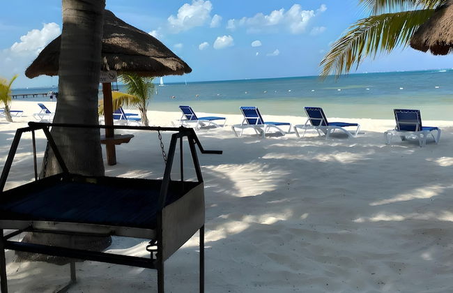 Beachfront and Ocean View Apartment - Photo 26