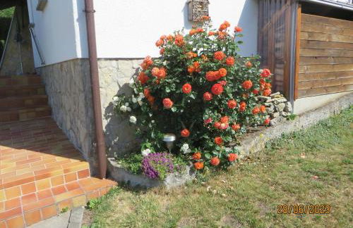 Bergblick - Photo 14