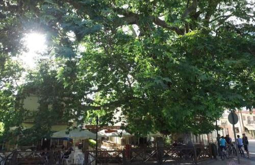 Cozy Place living - Foto 50