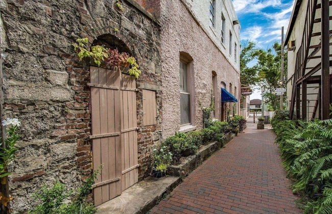 The Octopus Sanctuary - Foto 30