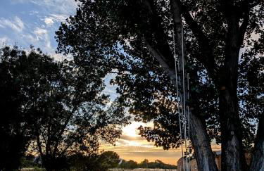 Aldea de Cabañeros - Foto 31