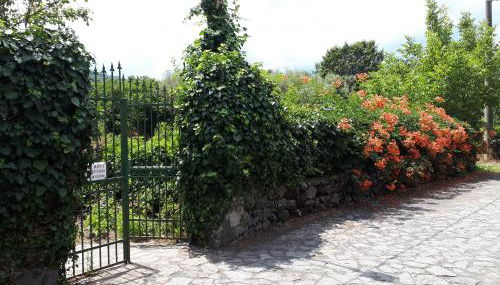 Villa Vecchio - Foto 5