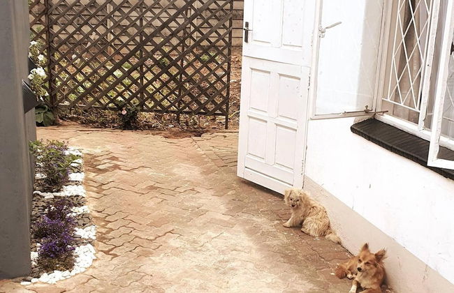 Gorgeous 1-bed Apartment in Harare - Photo 13