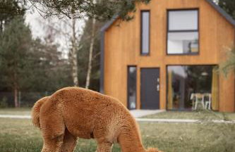 Osada Hygge - Foto 40