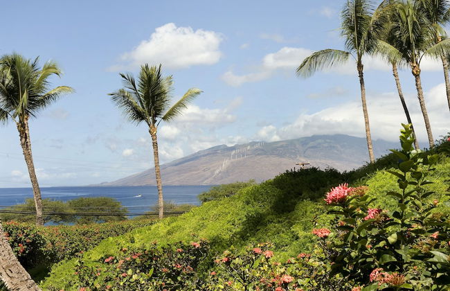 Maui Kamaole - Photo 37