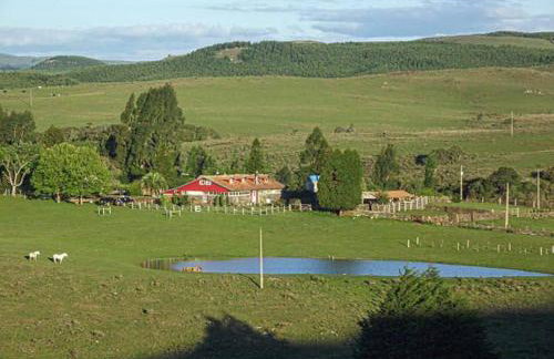 Fazenda Rodeio Bonito - Photo 15