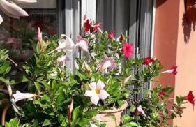 La casa di Teri a Chiavari - Photo 1